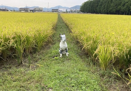 1670B6AF-C952-4021-B0DE-EA89523320F0.jpeg