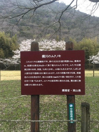 1C9575A8-021B-4200-B92F-7D9B2372C017.jpeg
