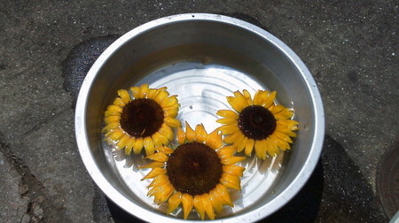 2017082712110000.jpg