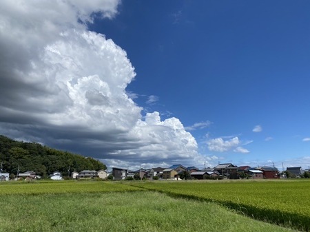 22F5911F-26FF-4AB0-8D8E-157549B01FB6.jpeg