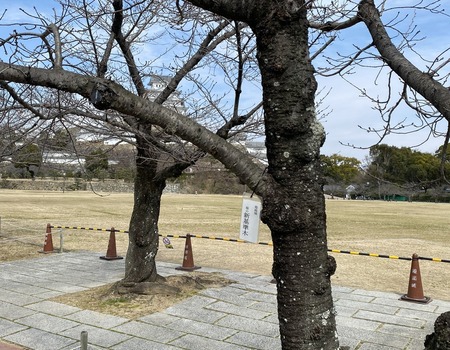 24498947-FFB3-4373-A027-03A5D9965724.jpeg