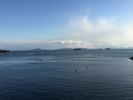 27F613DA-1E75-4CBE-9CEF-9D579C67EDBD.jpeg