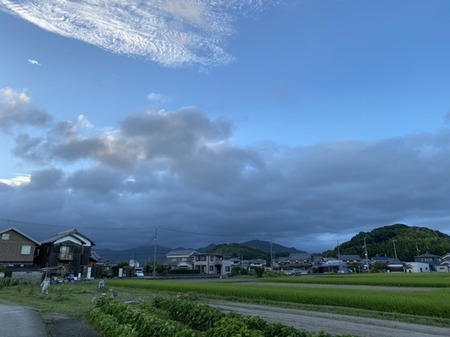 33D9815B-B04A-43E9-99C3-71E2B626AB3D.jpeg