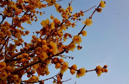 5178D62A-D022-475A-AEF5-E774907D8FEB.jpeg