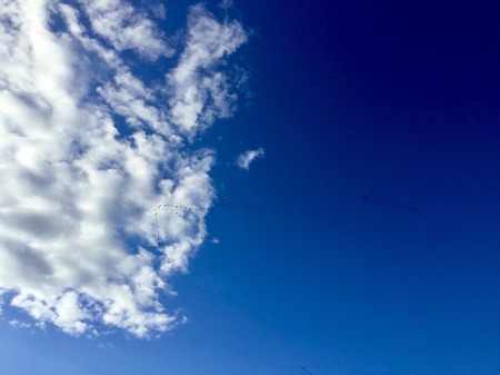 51E4BC96-19EA-4123-8C5A-DFD0A758086D.jpeg