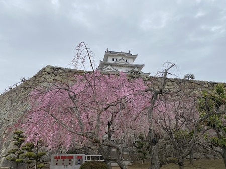 70651A9C-D321-43A4-B79B-7C08A154D511.jpeg