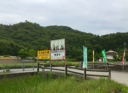 827DE2E9-CAEF-440C-ADC2-37C78E44FAA2.jpeg