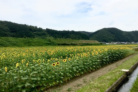 85BA37BE-7EE2-4F15-A90C-9487EB421B7D.jpeg