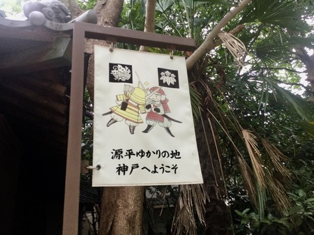 9C833BE8-9B3C-484B-BA5D-B5E3A768CDC0.jpeg