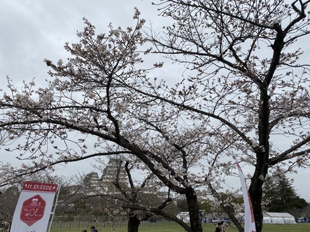 A10E239E-284A-4256-ABF2-FA1ACA143C3B.jpeg