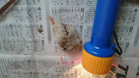 A3E29A9B-8EDF-47BC-9BF7-6ED02981C10D.jpeg