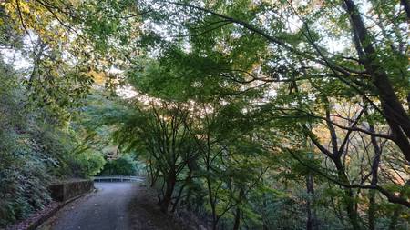 B2E3227B-12B1-46F9-B49E-5E7699F3E866.jpeg