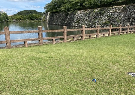 CABEC92D-A0AC-42DD-83C1-6777B6C7C9ED.jpeg