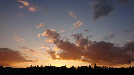 D144E405-2C74-483E-833D-AC440915A2CA.jpeg
