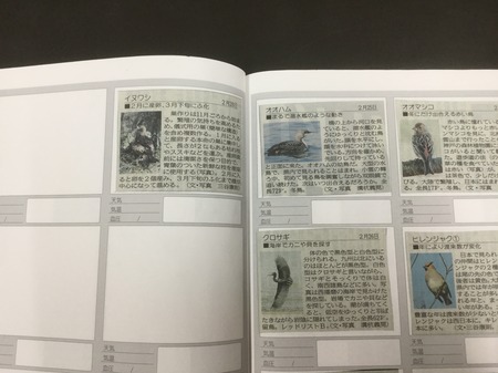 EC830BD7-EB05-4094-A85F-9C0C6C3CE587.jpeg