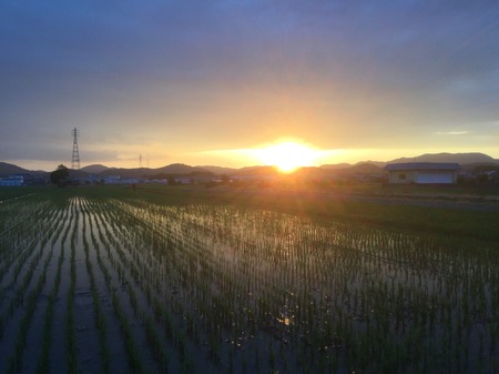F1A0F009-5ADF-44B1-8D57-1EADE9D47CF3.jpeg