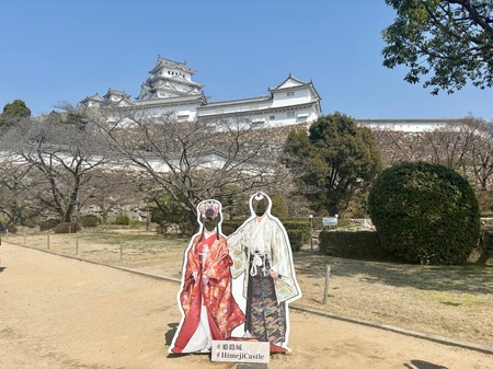 IMG_5369.jpeg