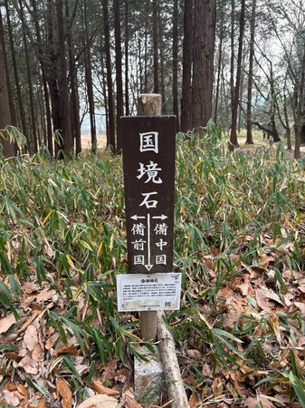 IMG_6651.jpeg