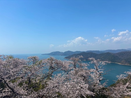 IMG_6995.jpeg