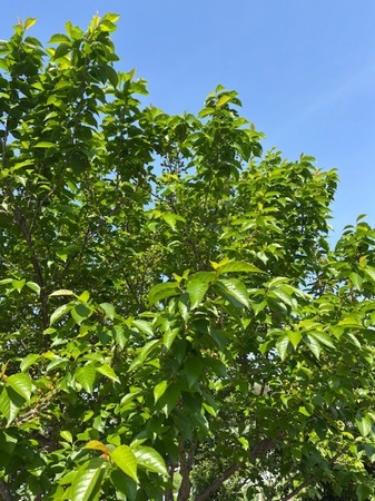 IMG_7100.jpeg