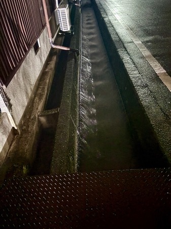 IMG_7294.jpeg