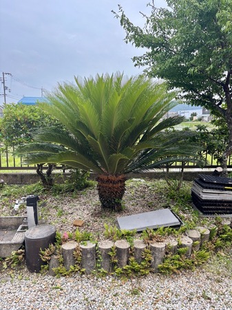 IMG_7362.jpeg