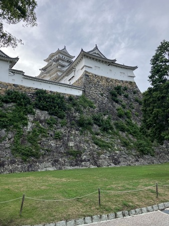 IMG_7469.jpeg