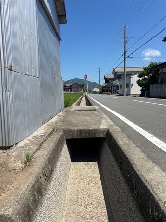 IMG_7541.jpeg